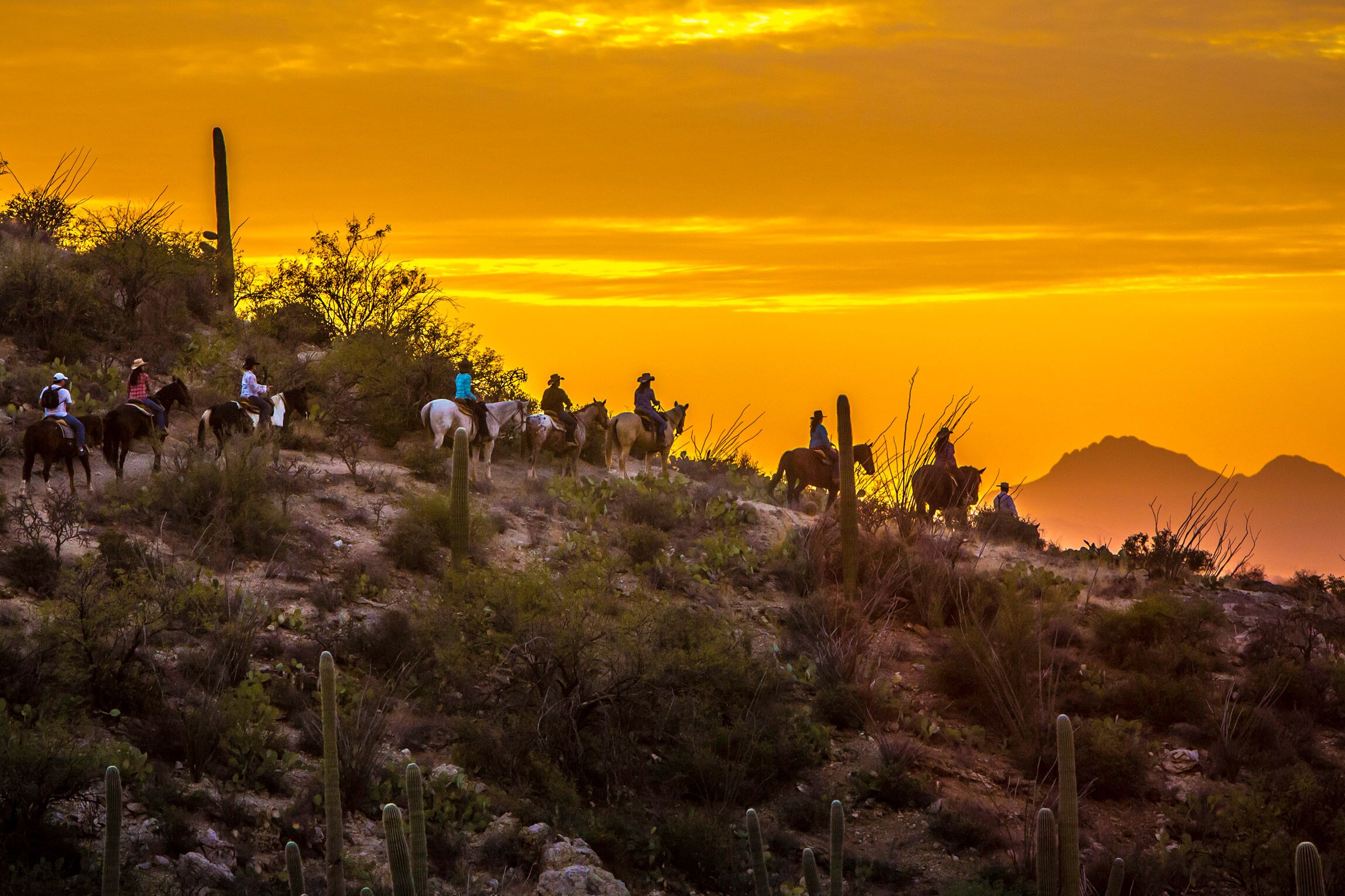 Impression Tanque Verde Ranch