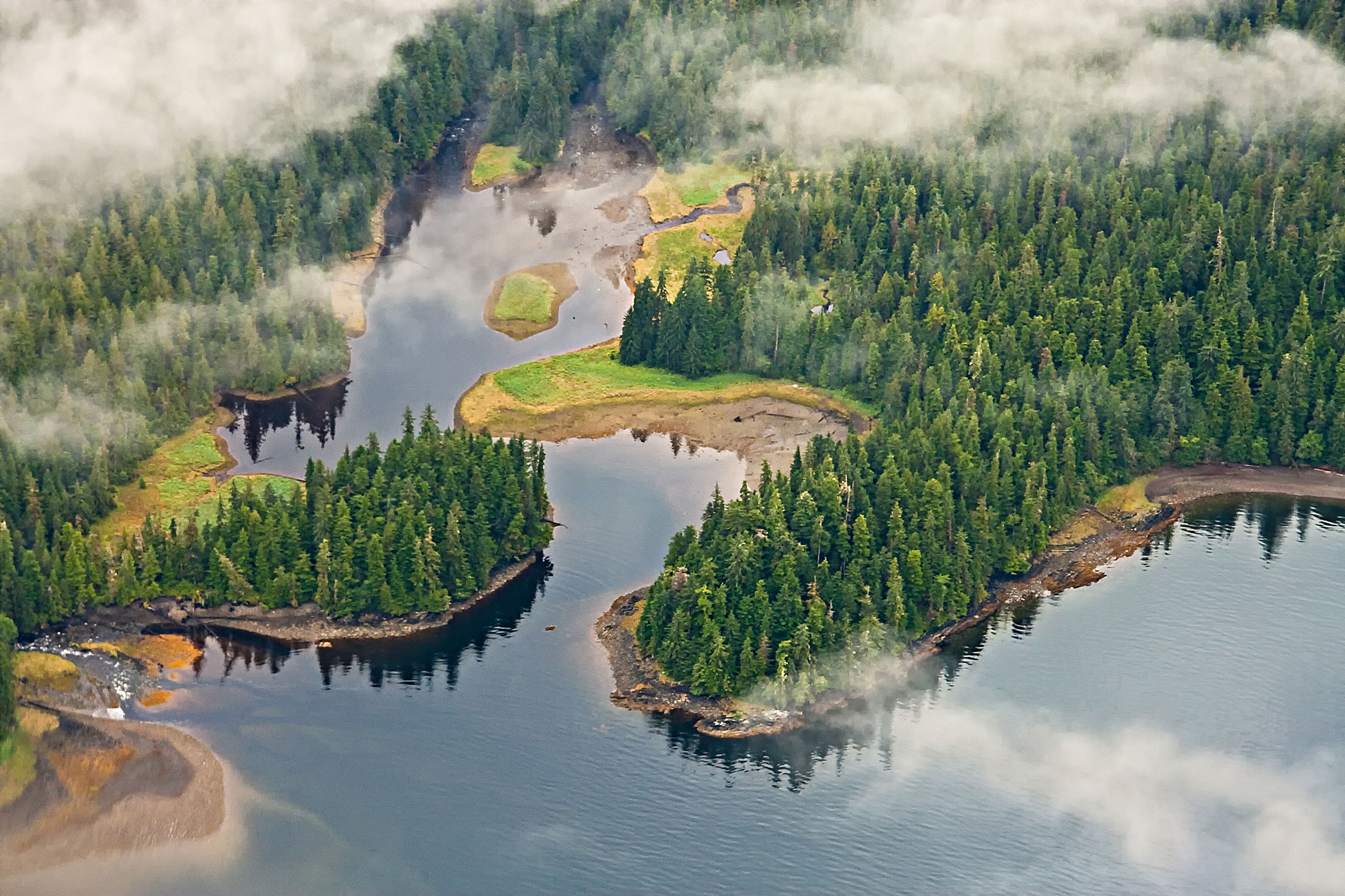 Luftaufnahme der Wälder und Seen, Misty Fjords National Monument, Alaska