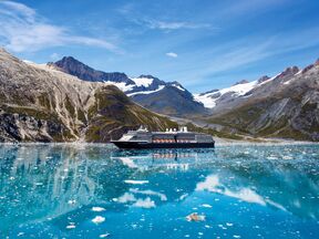 Blick auf die Westerdam in Glacier Bay