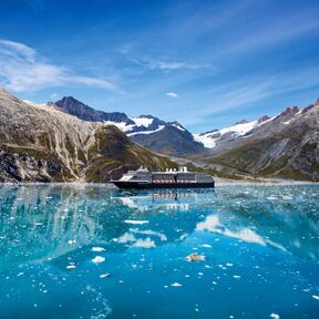 Blick auf die Westerdam in Glacier Bay