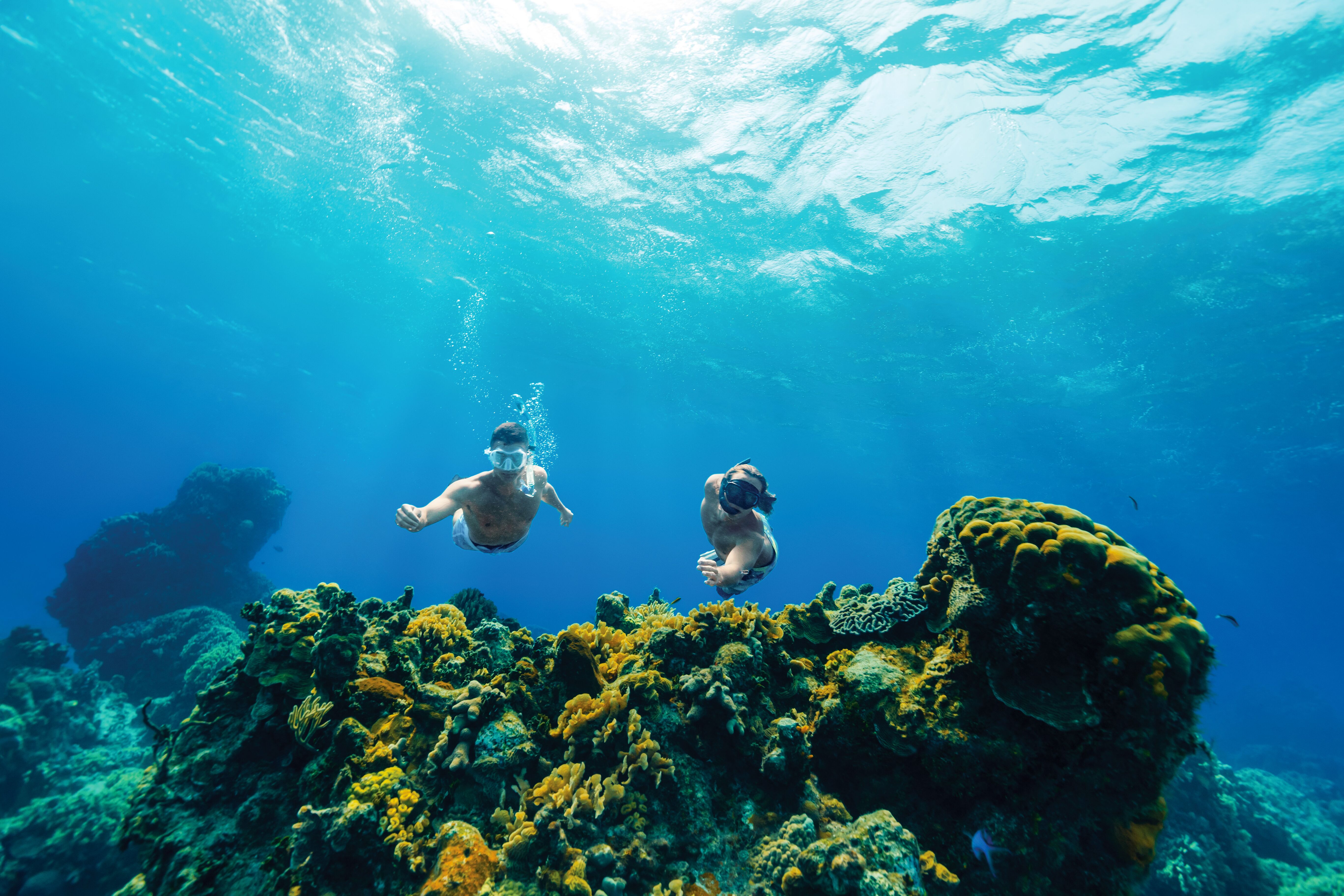 Zwei Personen schnorcheln zu den Korallen