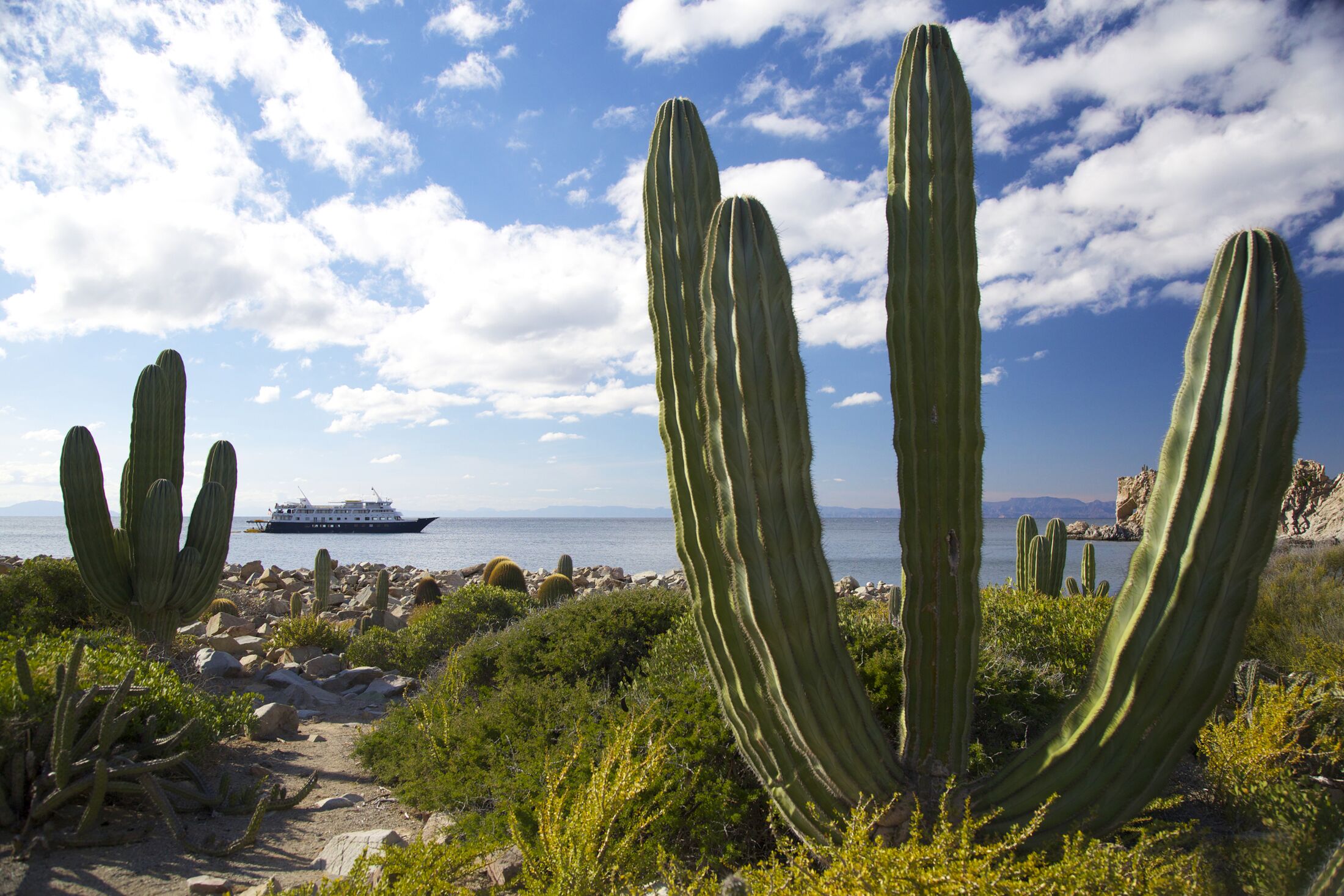 Die Jocelyn Pride der Un-Cruise Adventures in Mexico