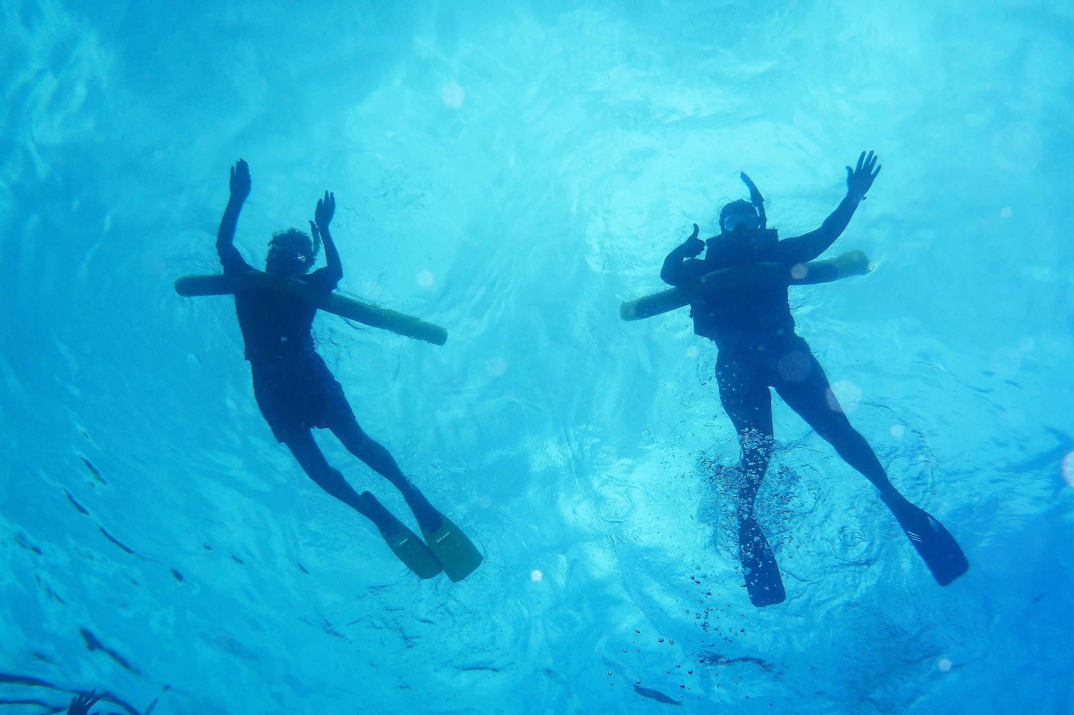 Schnorcheln wÃ¤hrend einer Reise mit dem Safari Explorer Kreuzfahrtschiff der UnCruise Adventures, Hawaii