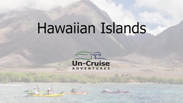 kreuzfahrt/un-cruise-adventures/videos/hawaiian-islands.640x.kb700