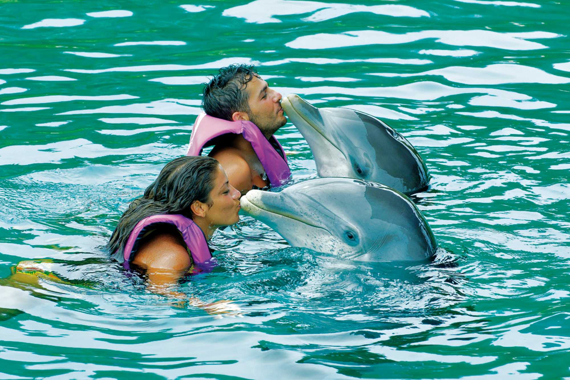 UNEXSO – Schwimmen & Begegnung mit Delfinen (Grand Bahama) | CANUSA
