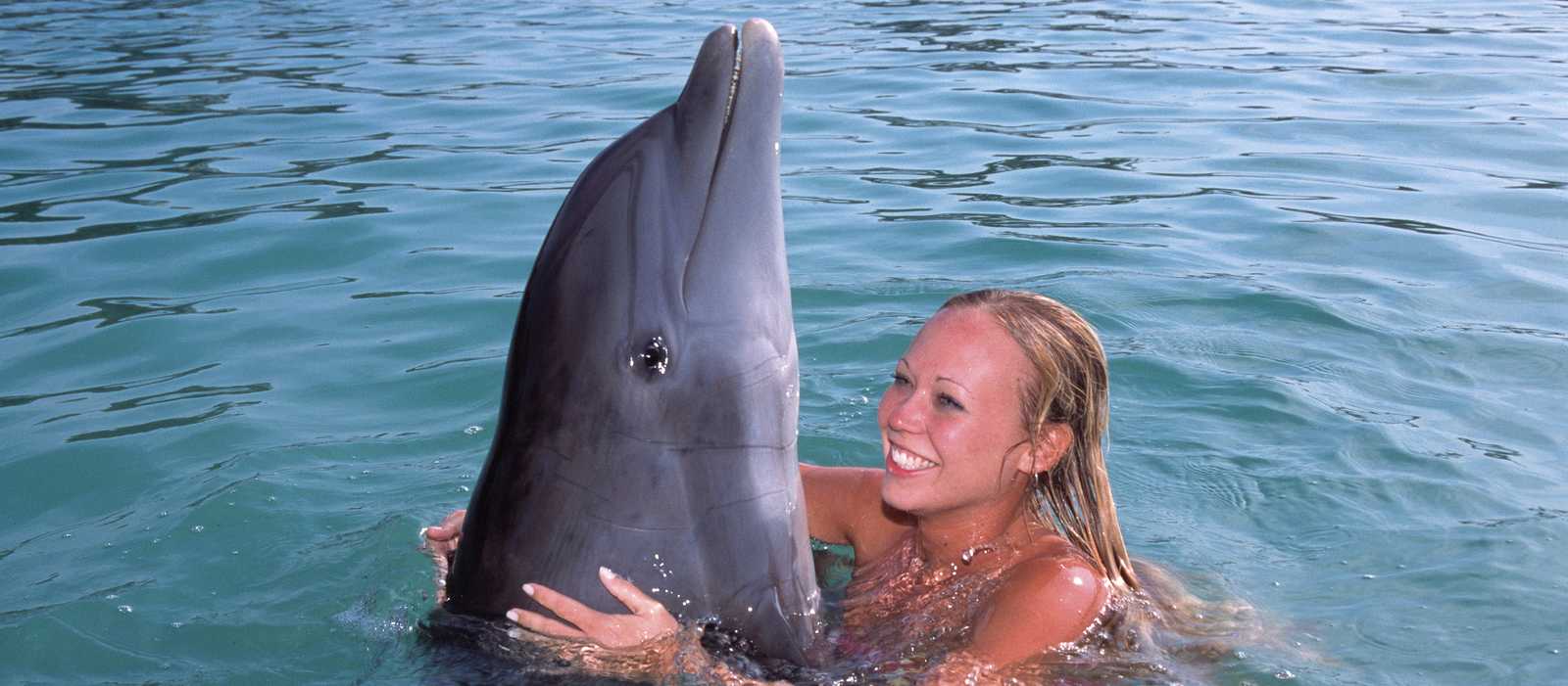 Schwimmen Mit Delfinen Auf Den Bahamas Canusa