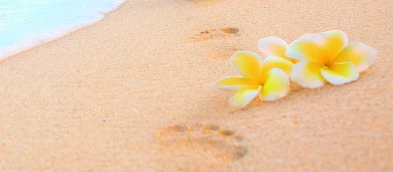 Genießen Sie die paradiesischen Strände Hawaiis! | CANUSA