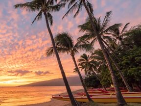 Romantische Plamen Hawaiis
