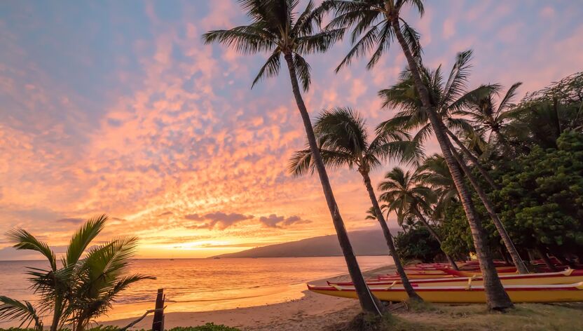 Romantische Plamen Hawaiis