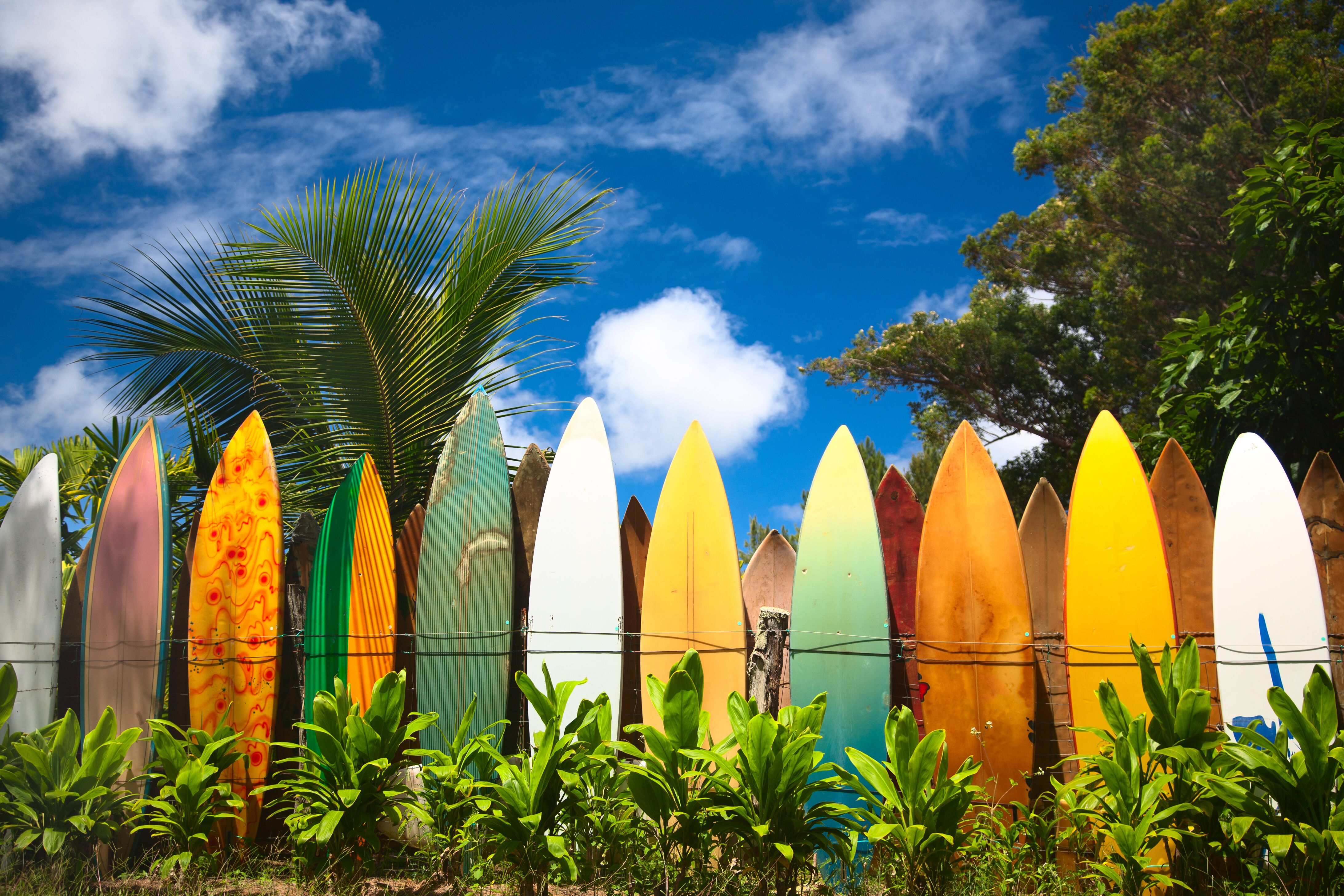 Bunte Surfbretter auf Hawaii