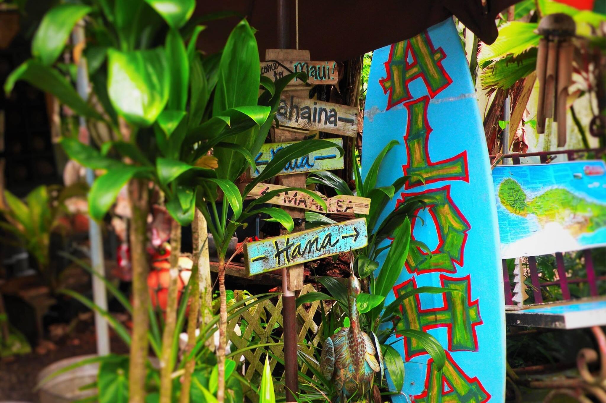 Bunter Wegweiser Aloha auf Hawaii