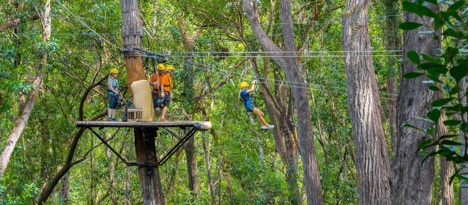 Kohala Zipline Canopy Adventure - canusa.de