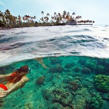 regionen/hawaii/bigisland/16-kealakekua-schnorcheln.cr1323x1325-0x293 regionen/hawaii/bigisland/16-kealakekua-schnorcheln.cr1323x1325-0x293