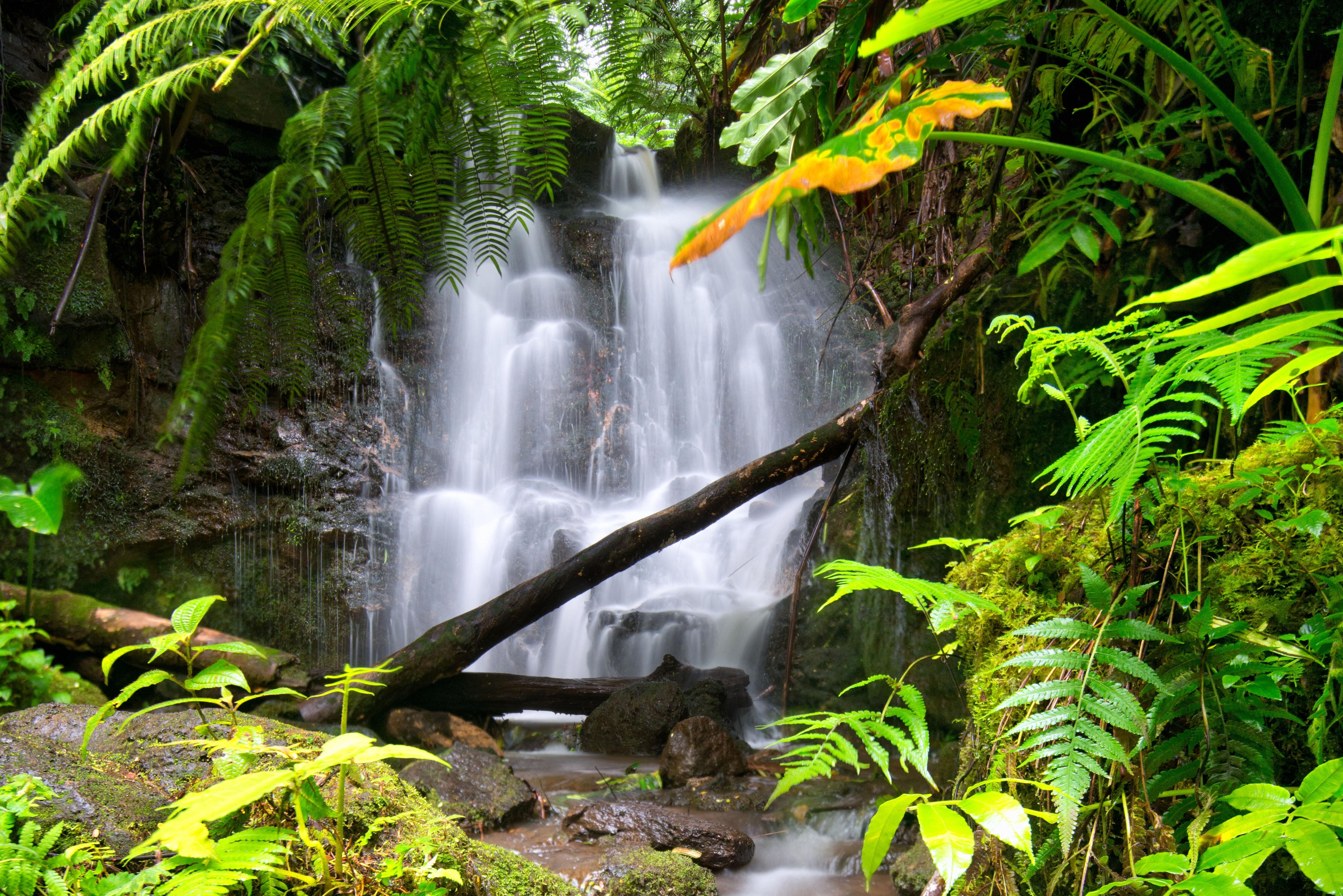 Schöner Hilo Wasserfall auf Hawaii Island