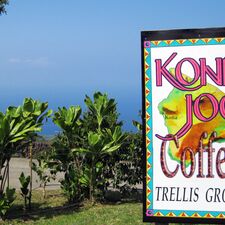 regionen/hawaii/bigisland/kealakekua-kona-joe-coffee-schild.cr2248x2248-1296x0 regionen/hawaii/bigisland/kealakekua-kona-joe-coffee-schild.cr2248x2248-1296x0