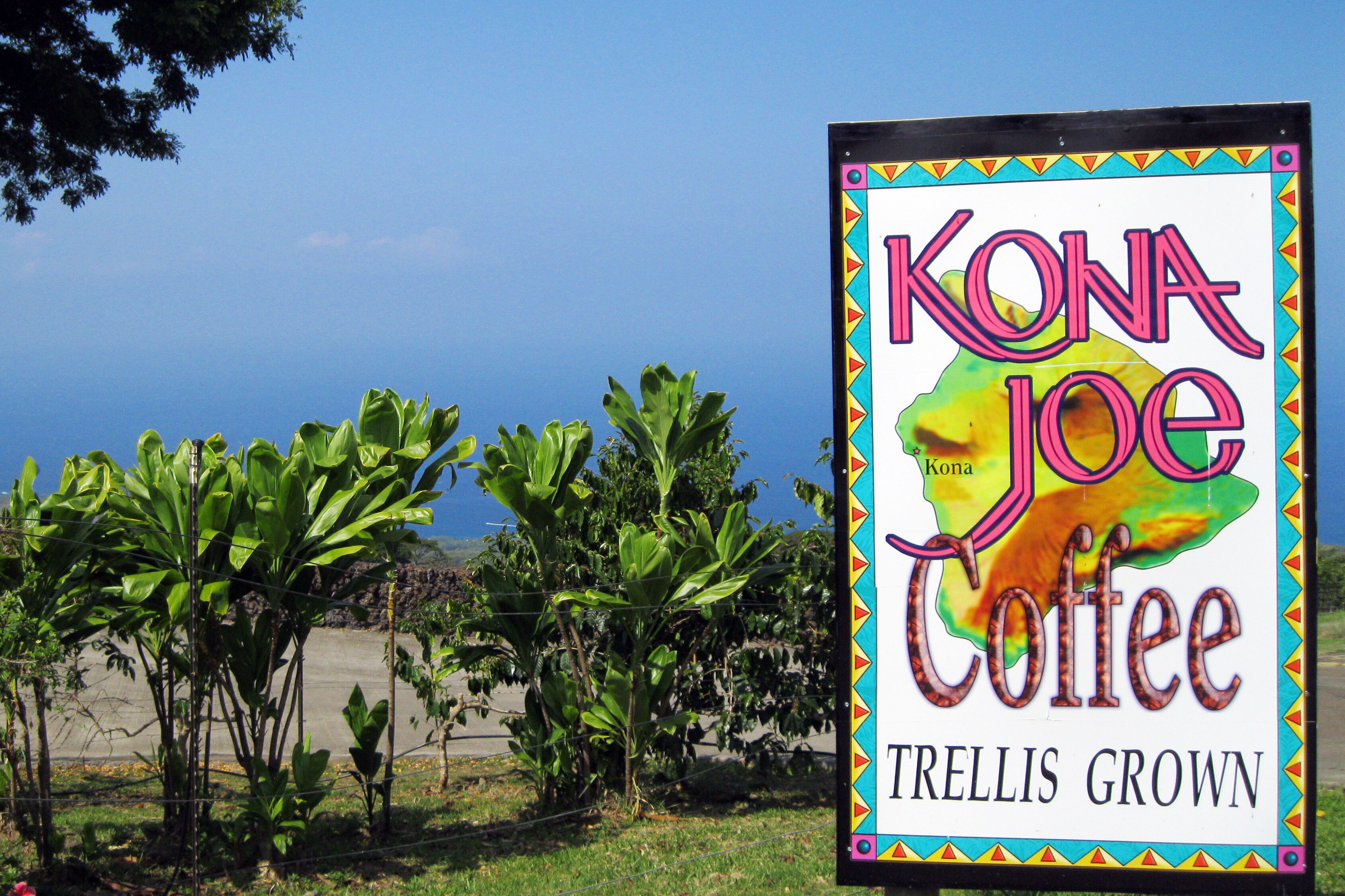Kona Joe Coffee