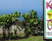 regionen/hawaii/bigisland/kealakekua-kona-joe-coffee-schild.cr4000x1752-0x496 regionen/hawaii/bigisland/kealakekua-kona-joe-coffee-schild.cr4000x1752-0x496