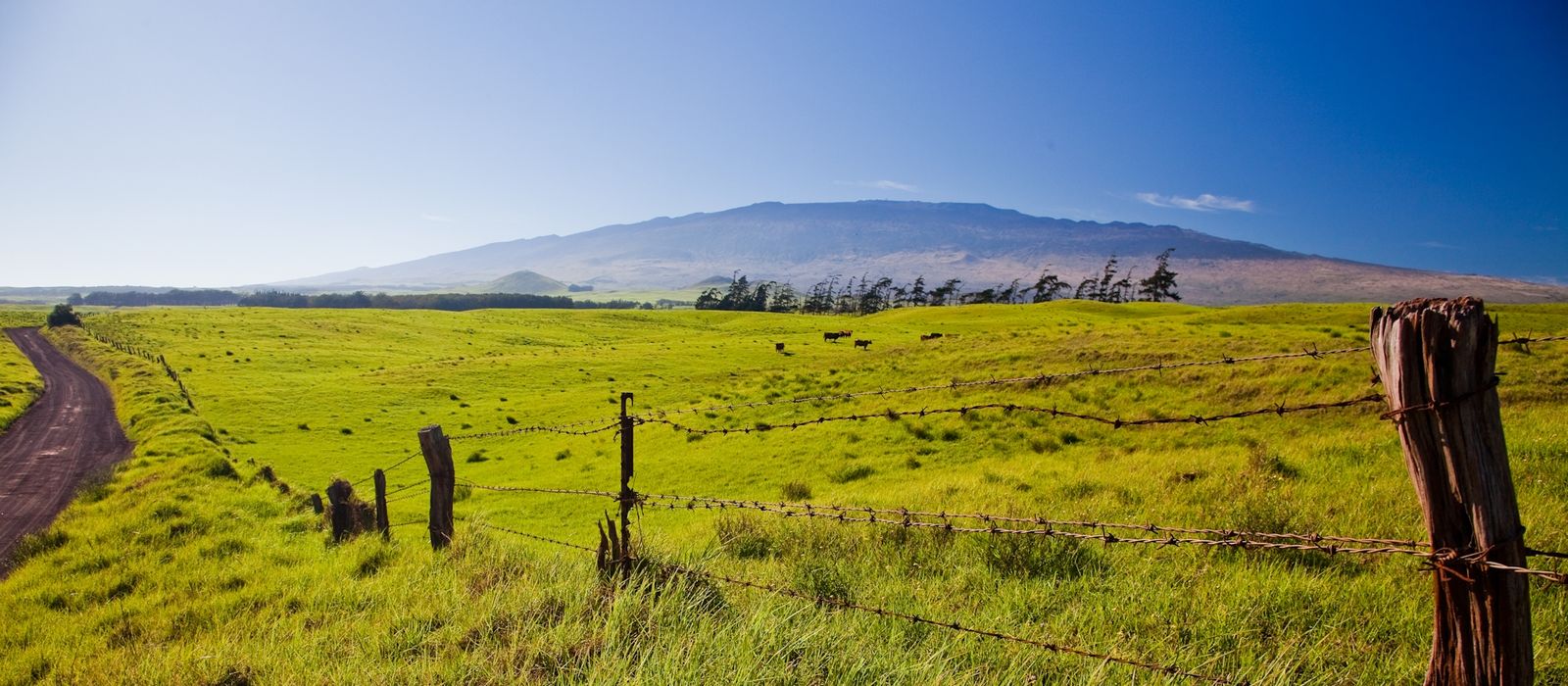 Old fence with Maunakea