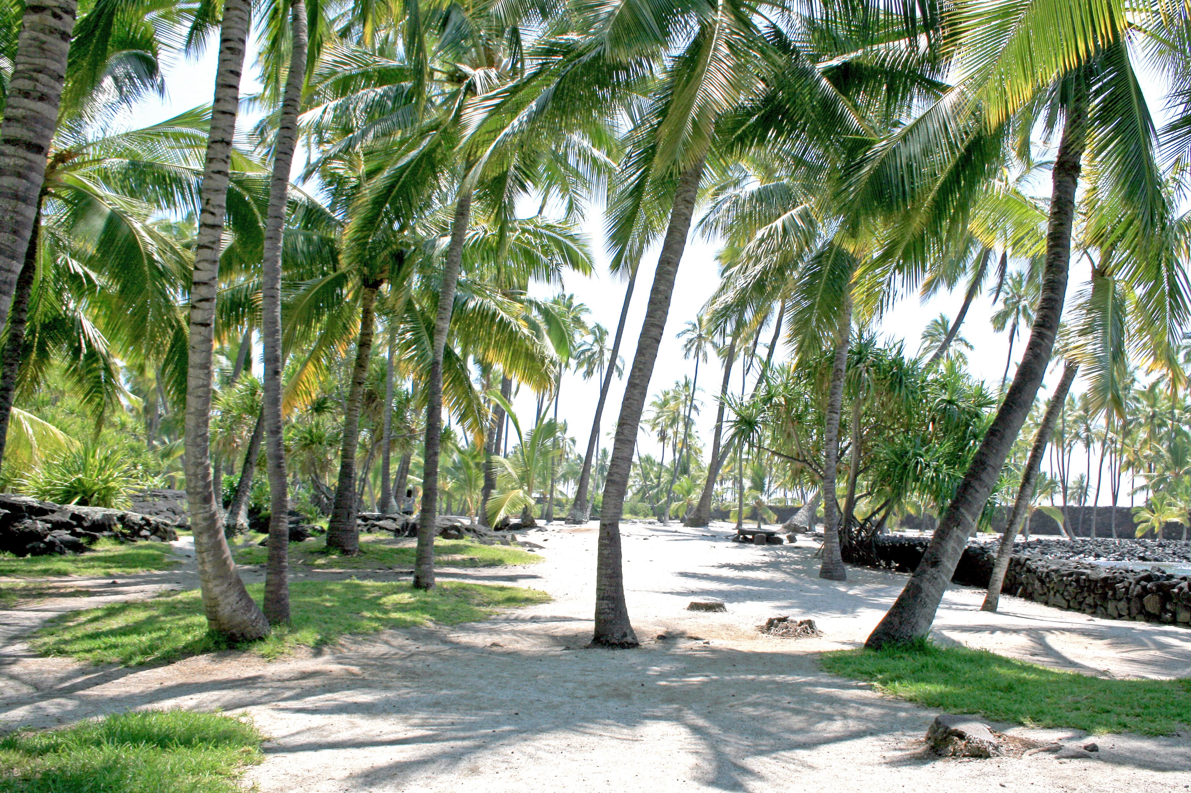 Impressionen von der Westkueste Bis Islands