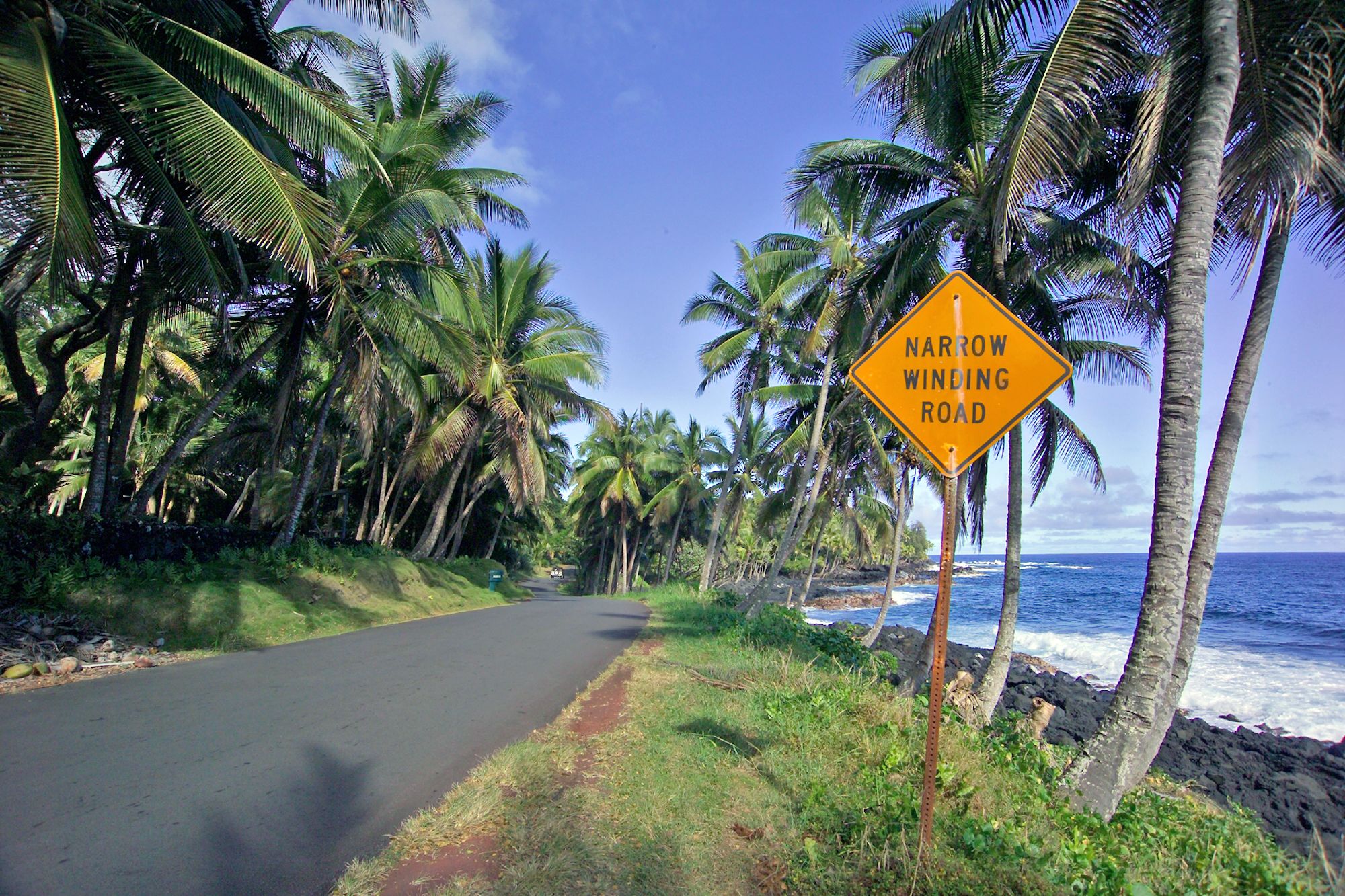 Oceanside Drive Puna