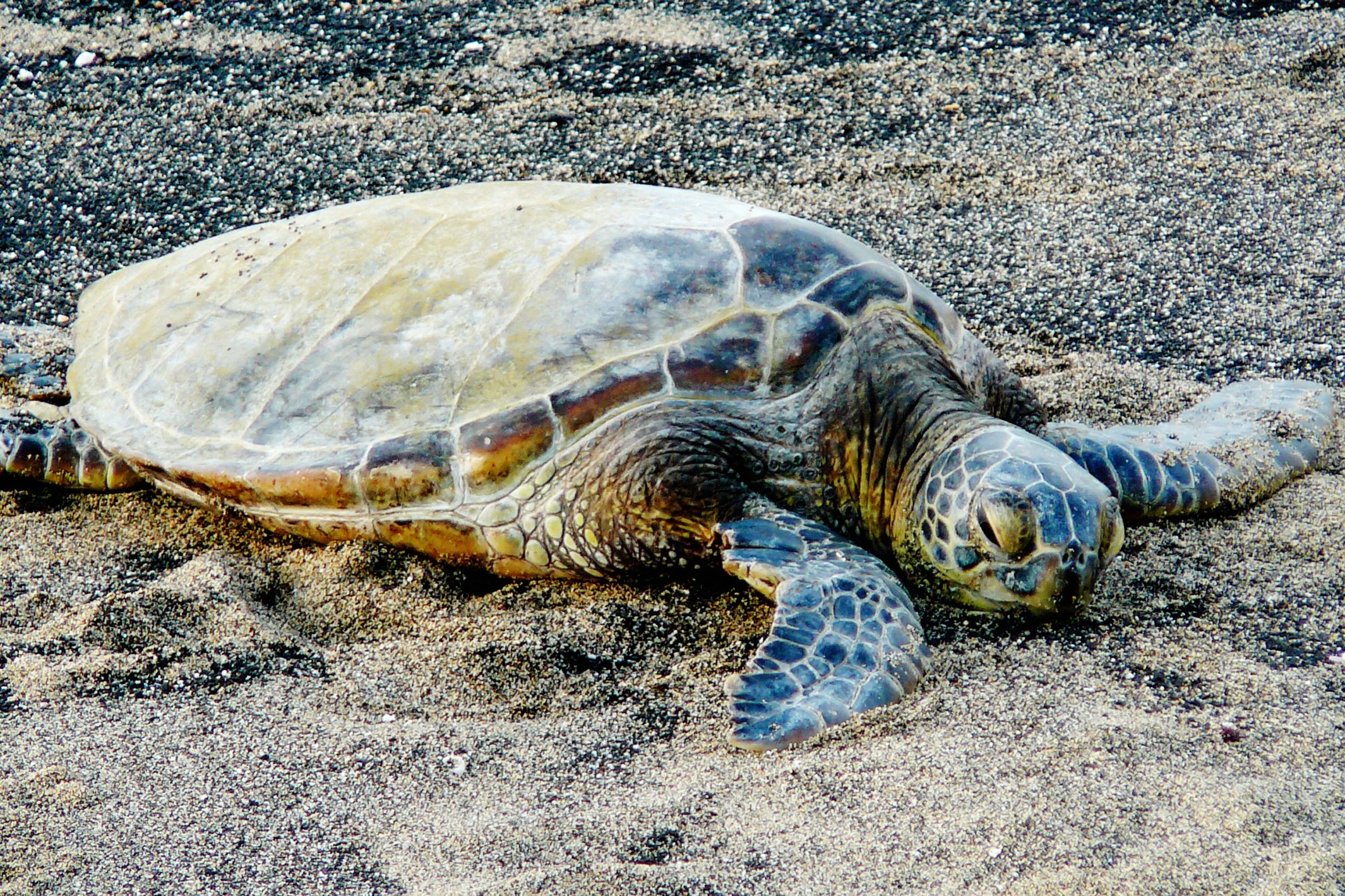 Impressionen Big Island