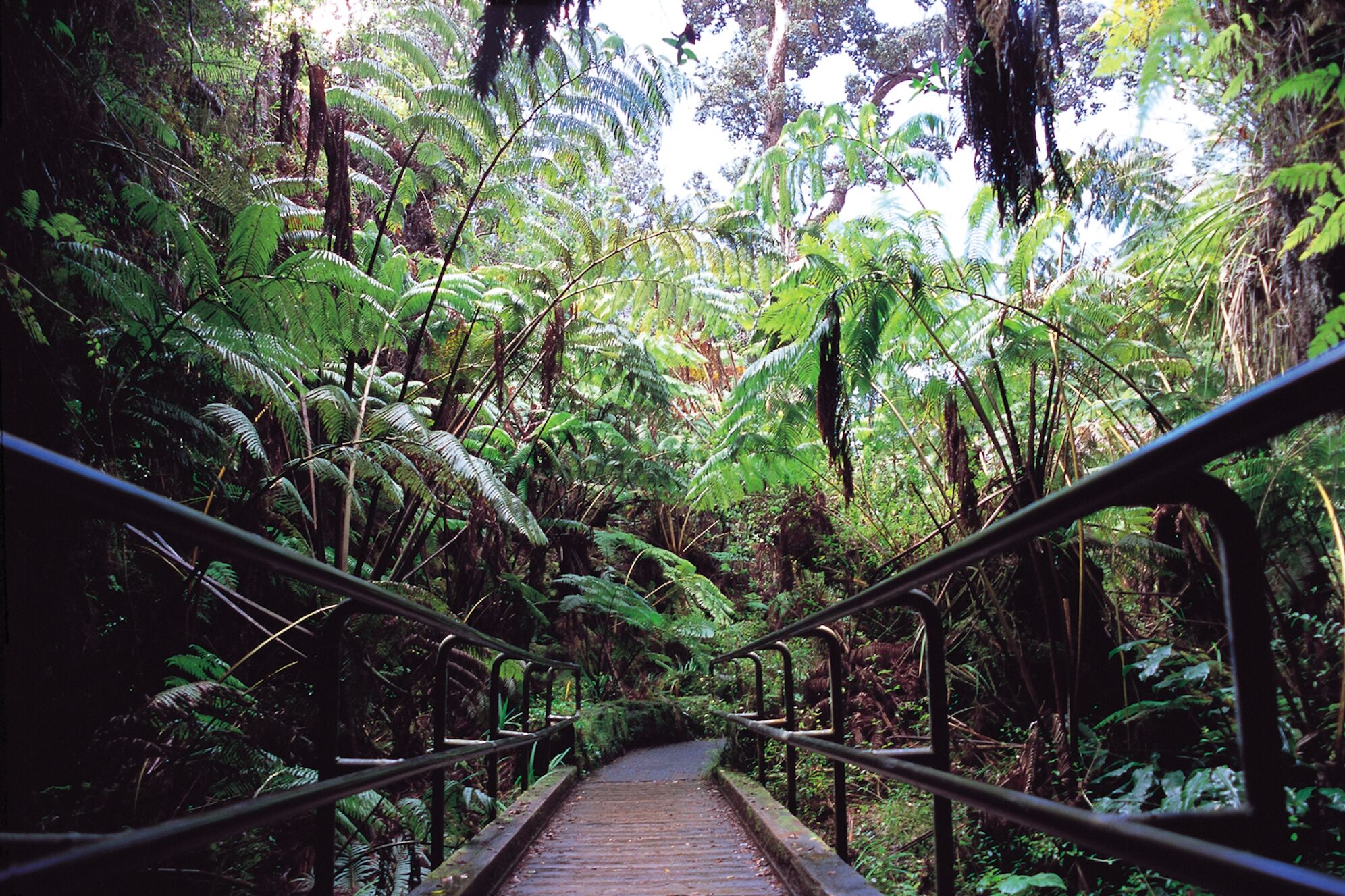 Thurston Lava Tube