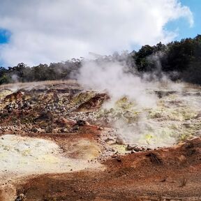 Heißer Dampf steigt aus den Steam Vents im Volcanoes Nationalpark auf Hawaii Island