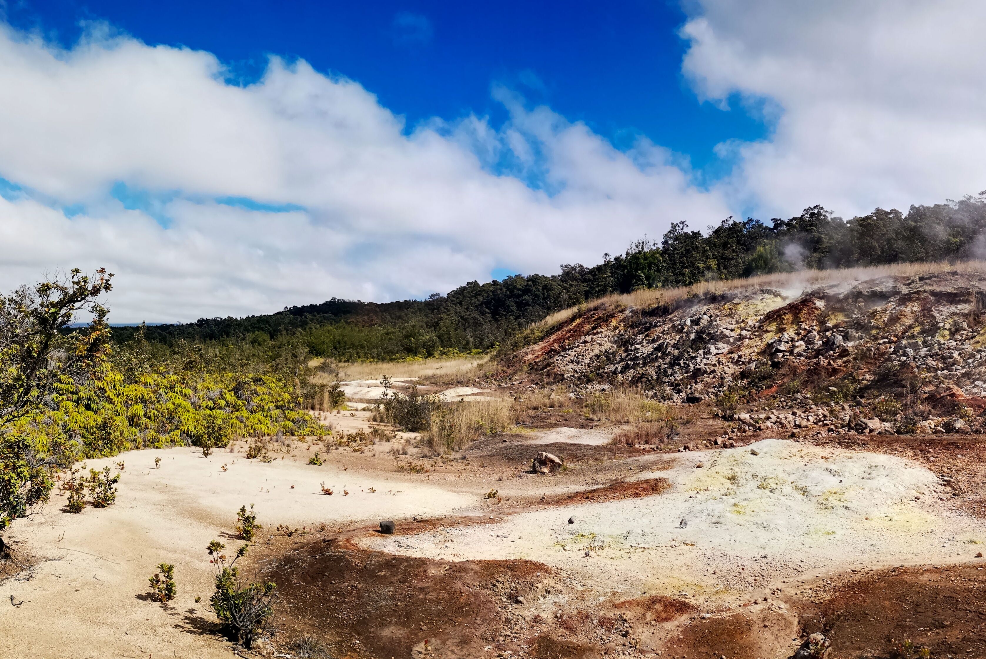 Heißer Dampf steigt aus den Steam Vents im Volcanoes Nationalpark auf Hawaii Island