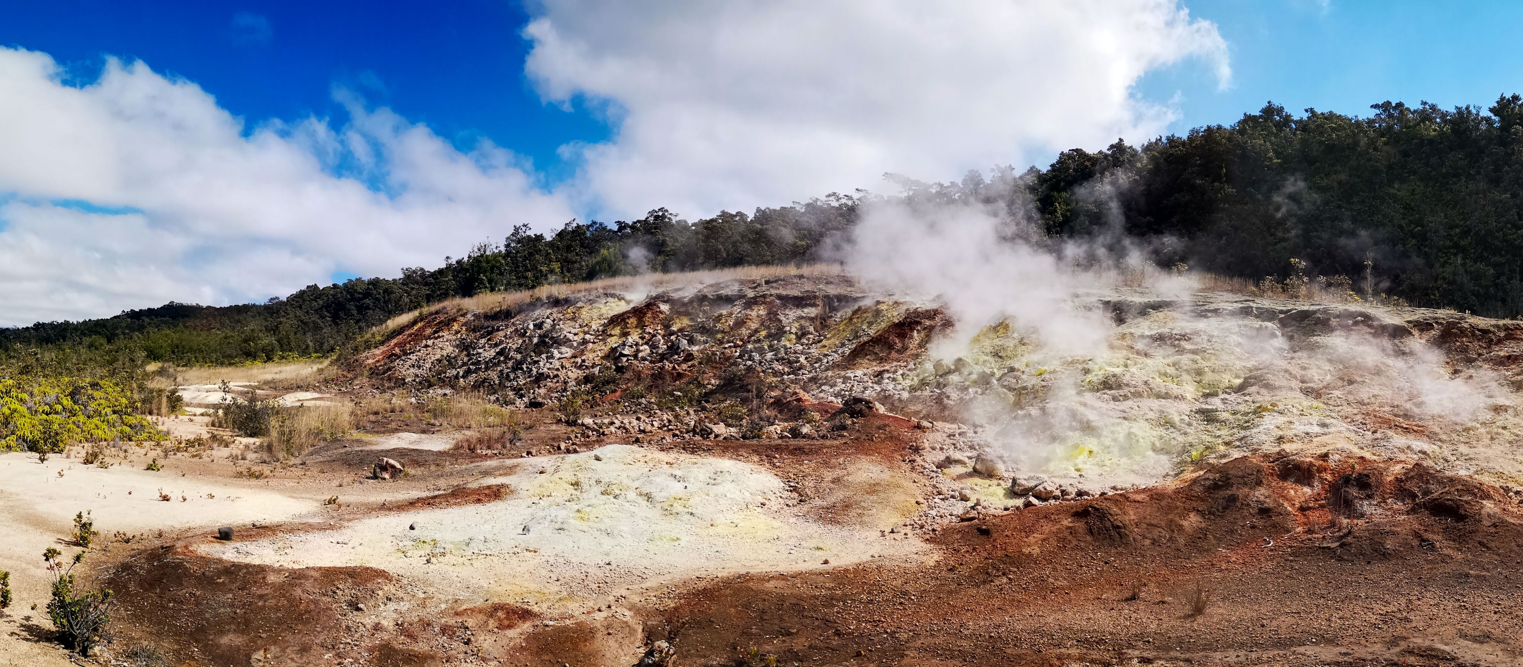 Heißer Dampf steigt aus den Steam Vents im Hawaii Volcanoes National Park auf