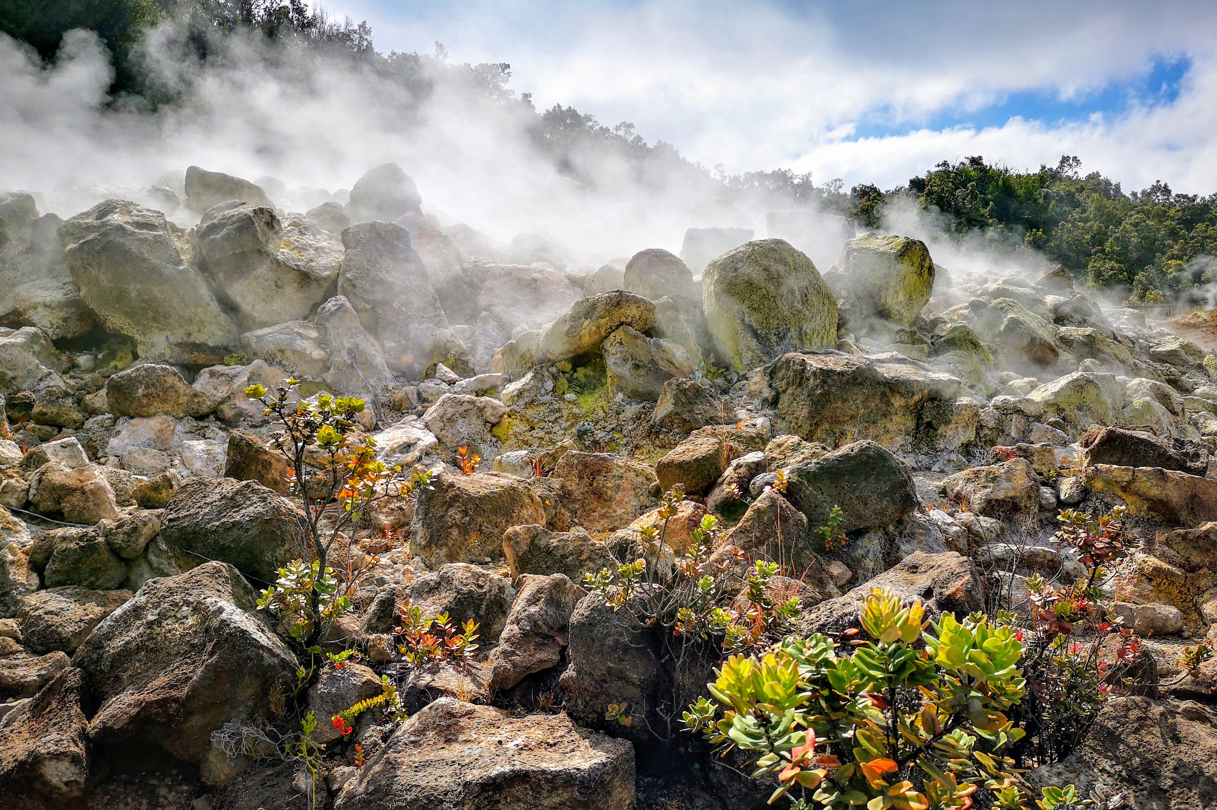 Heißer Dampf steigt aus den Steam Vents im Volcanoes Nationalpark auf Hawaii Island