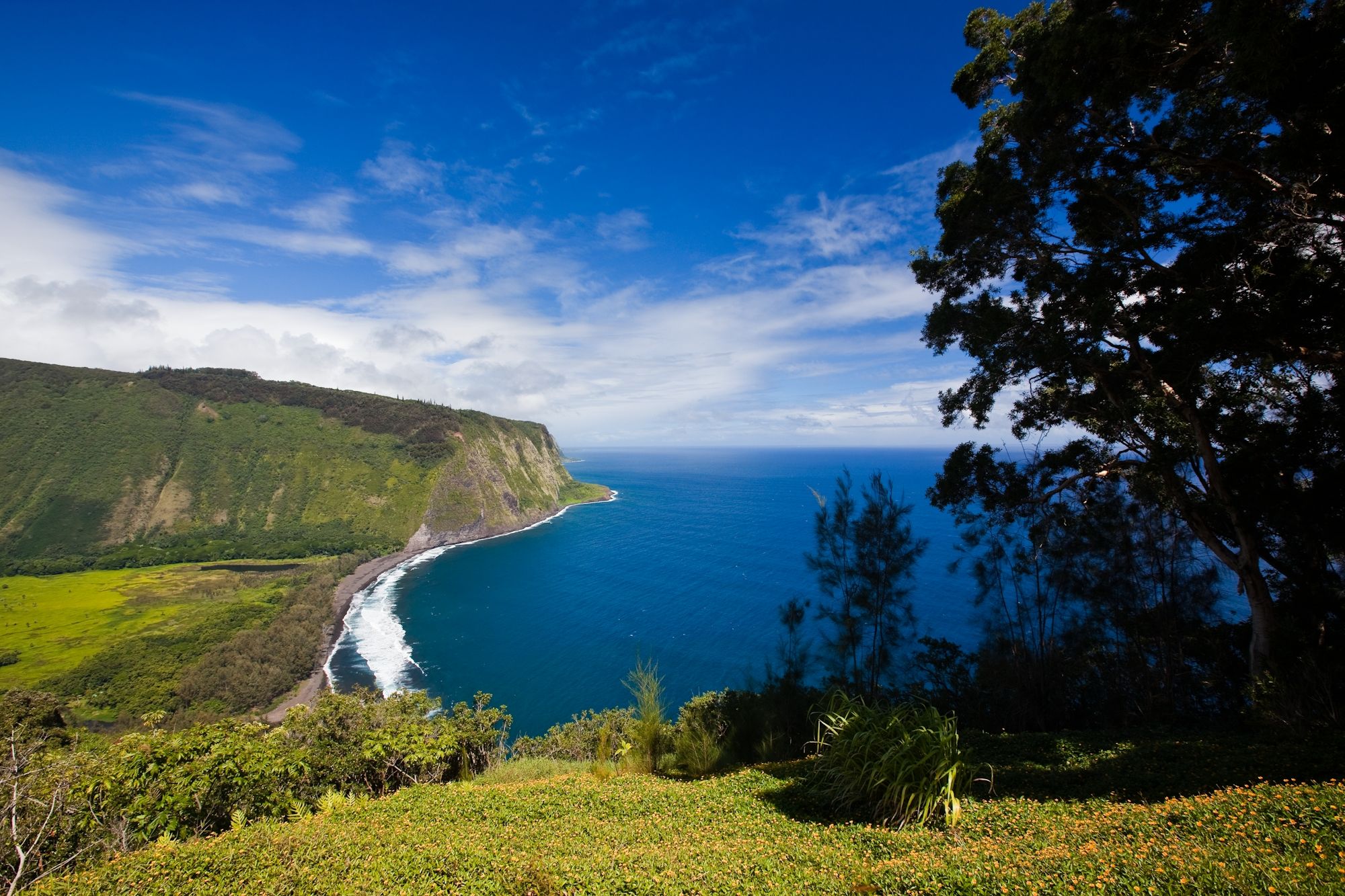 Waipio Bay