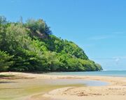 regionen/hawaii/kauai/anini-beach-aussicht.cr3877x1699-0x162 regionen/hawaii/kauai/anini-beach-aussicht.cr3877x1699-0x162