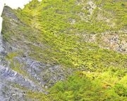 regionen/hawaii/kauai/hanakapiai-falls-ansicht.cr2500x1088-0x0 regionen/hawaii/kauai/hanakapiai-falls-ansicht.cr2500x1088-0x0