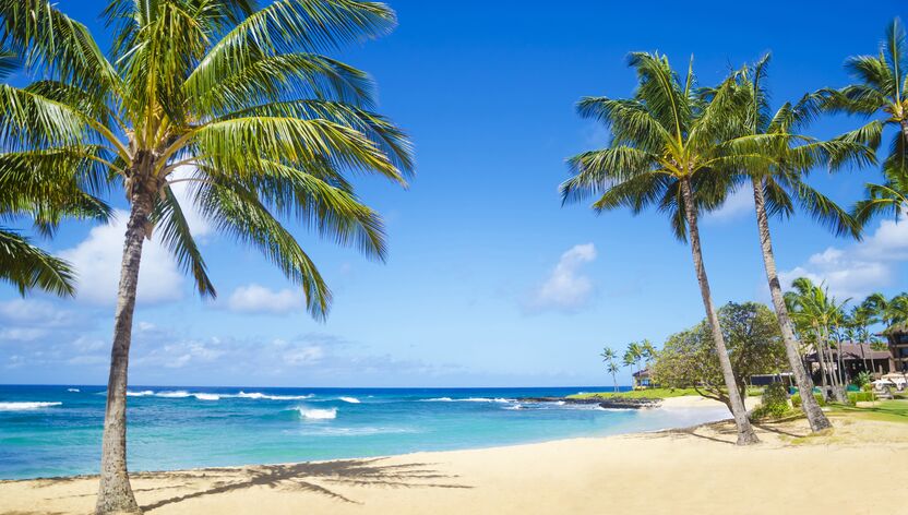 Kokosnusspalmen am Sandstrand auf Hawaii in Kauai