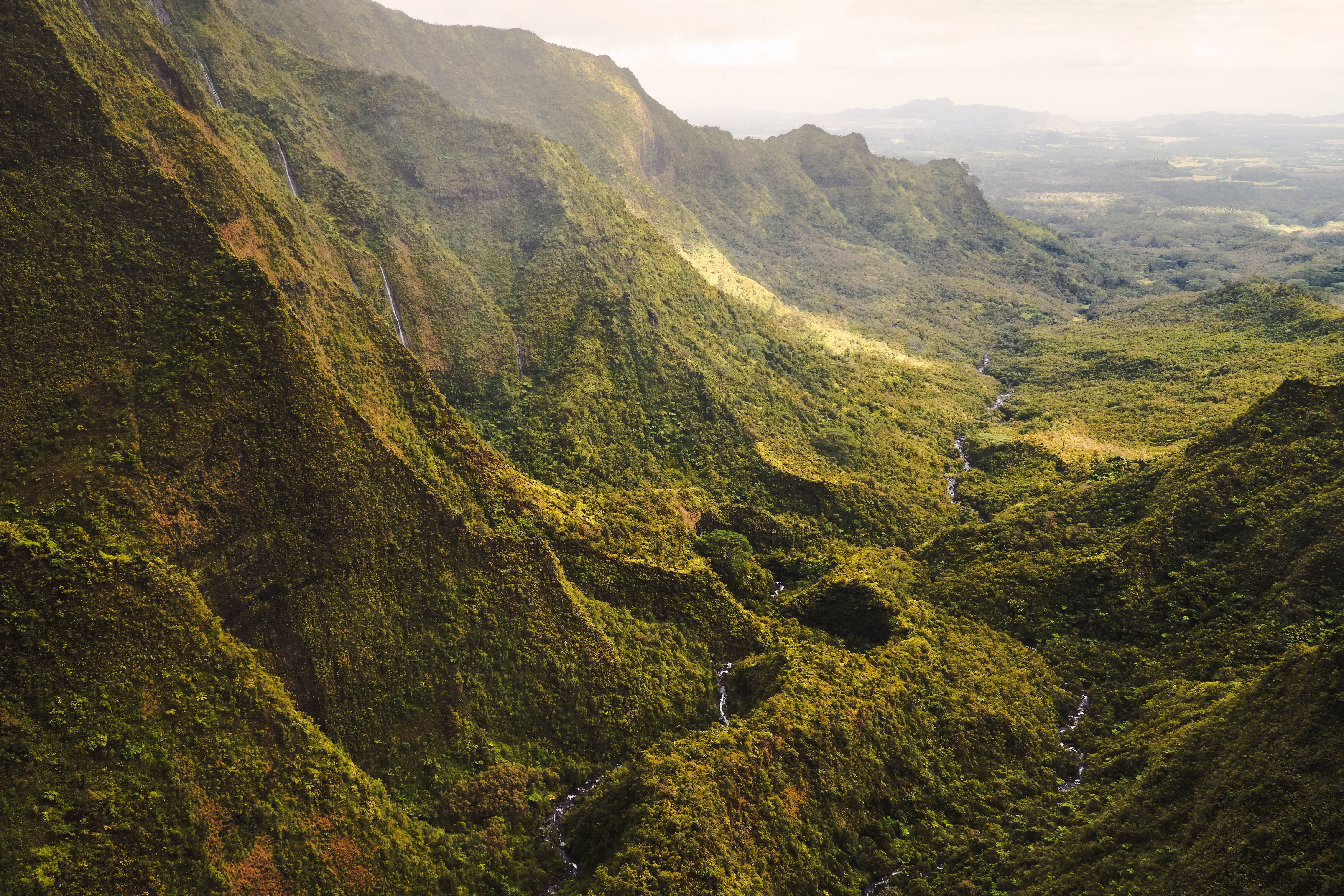 Das malerische grüne Tal des Waimea Canyon auf Kauai