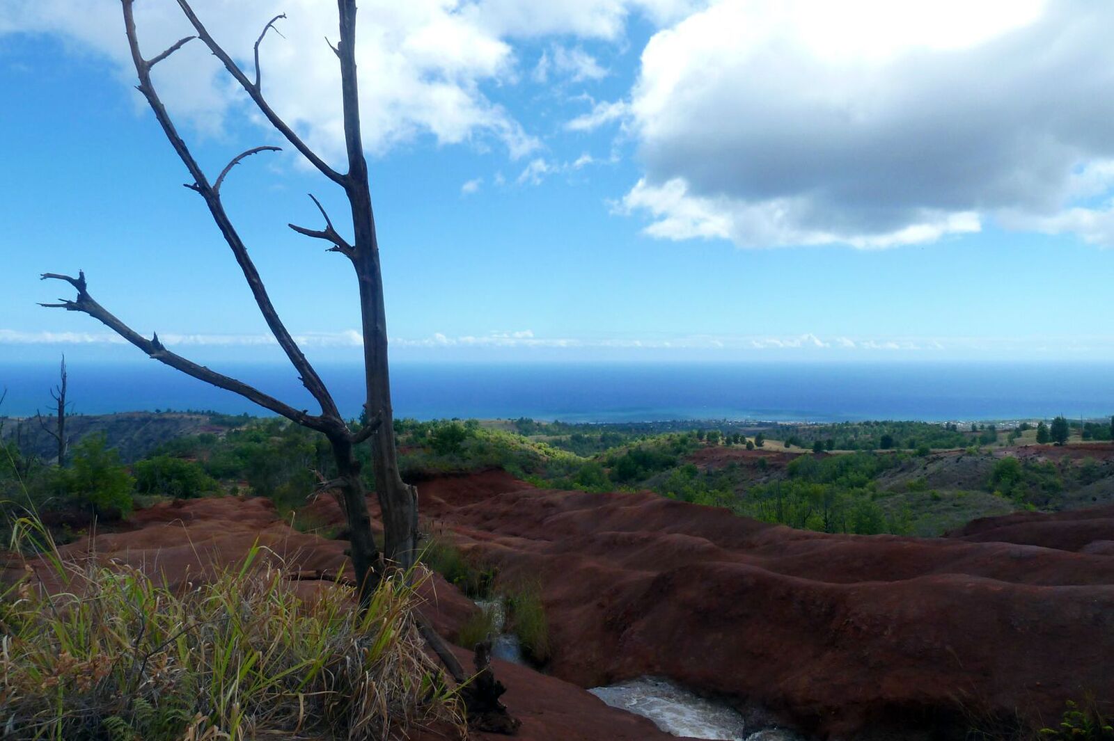 Waimea Canyon, Ocean View, Kauai Waimea Canyon, Ocean View, Kauai