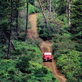 Jeep auf dem Munro Trail