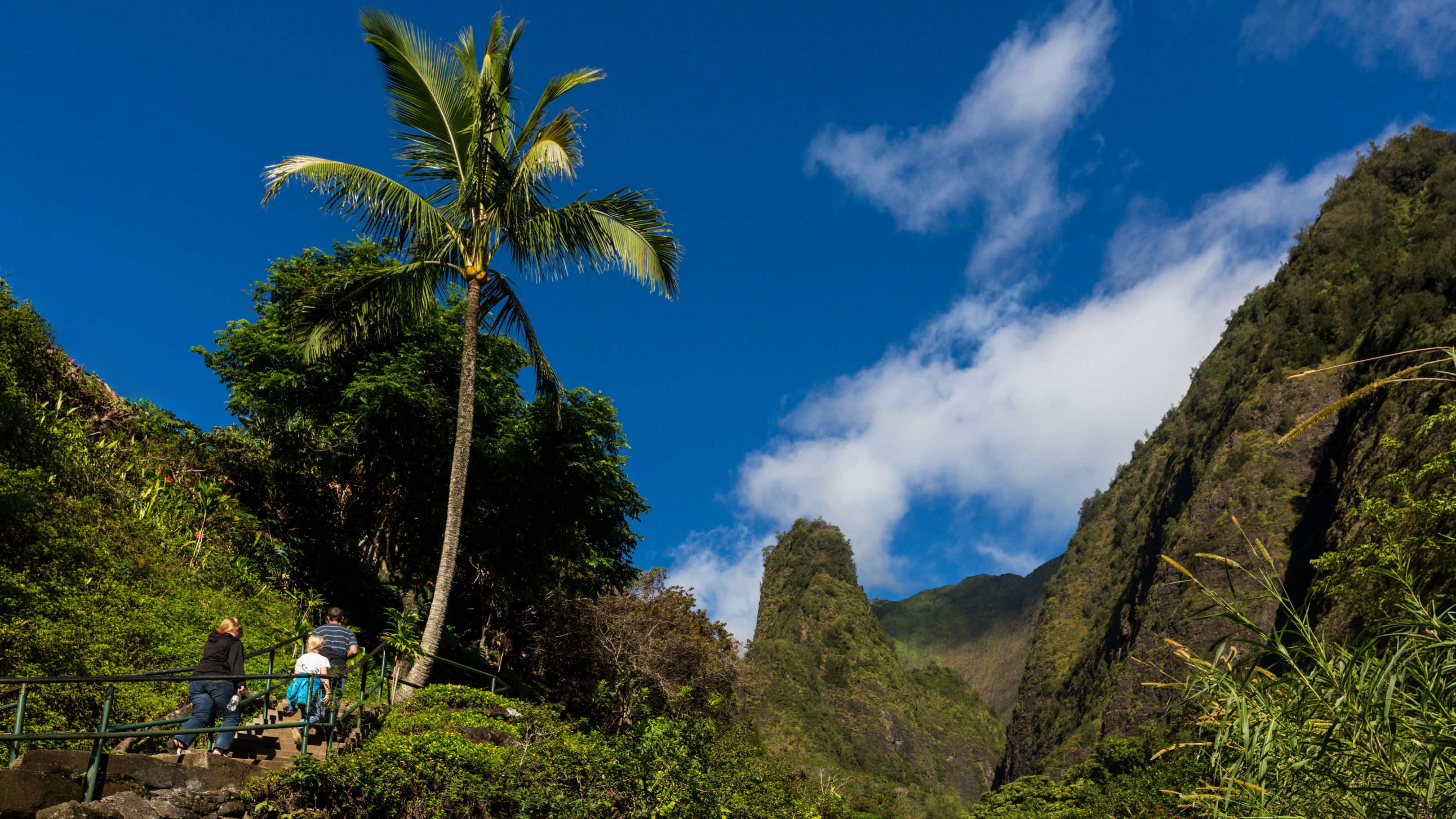Die eindrucksvolle Natur des Iao Valley State Park