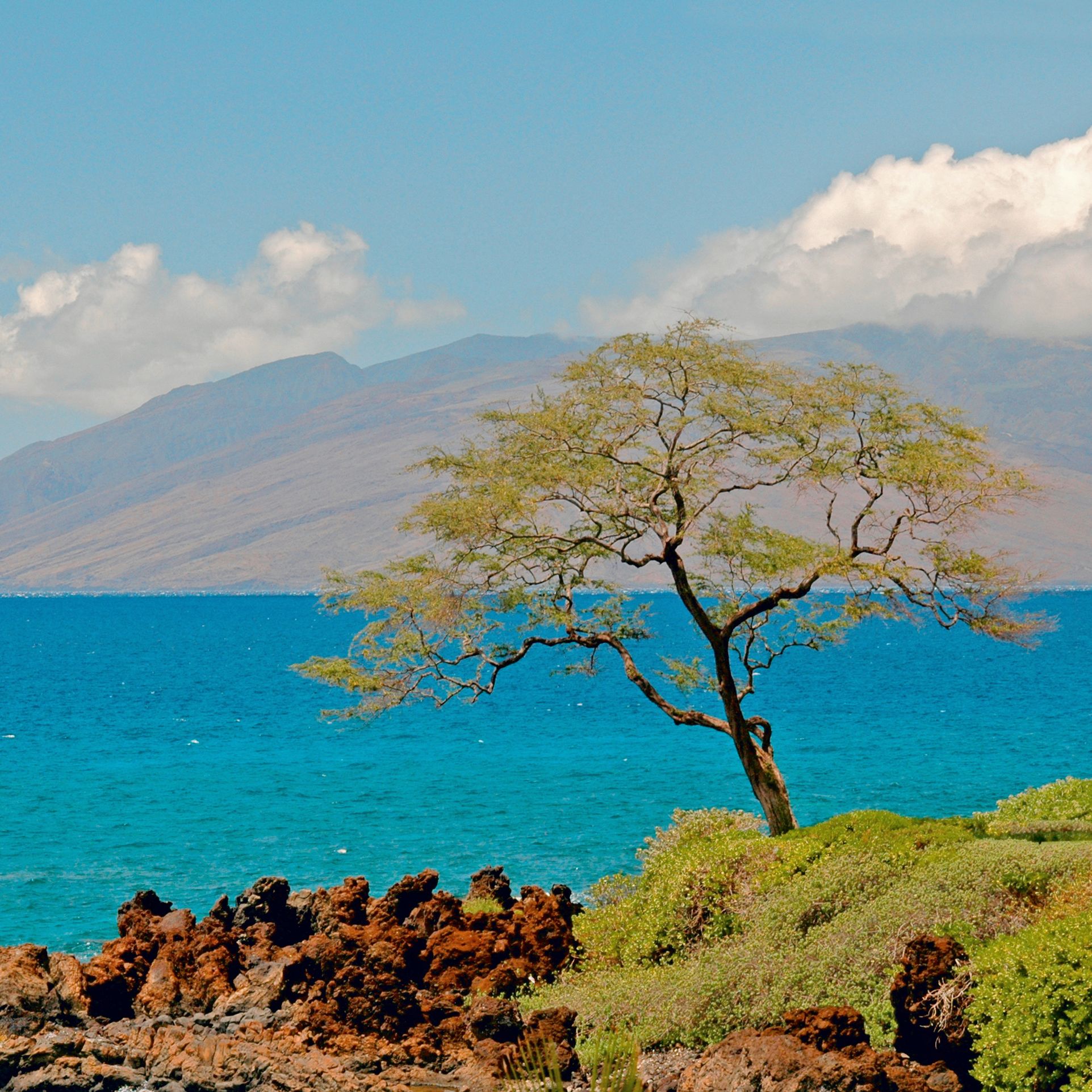 Idylle auf Maui