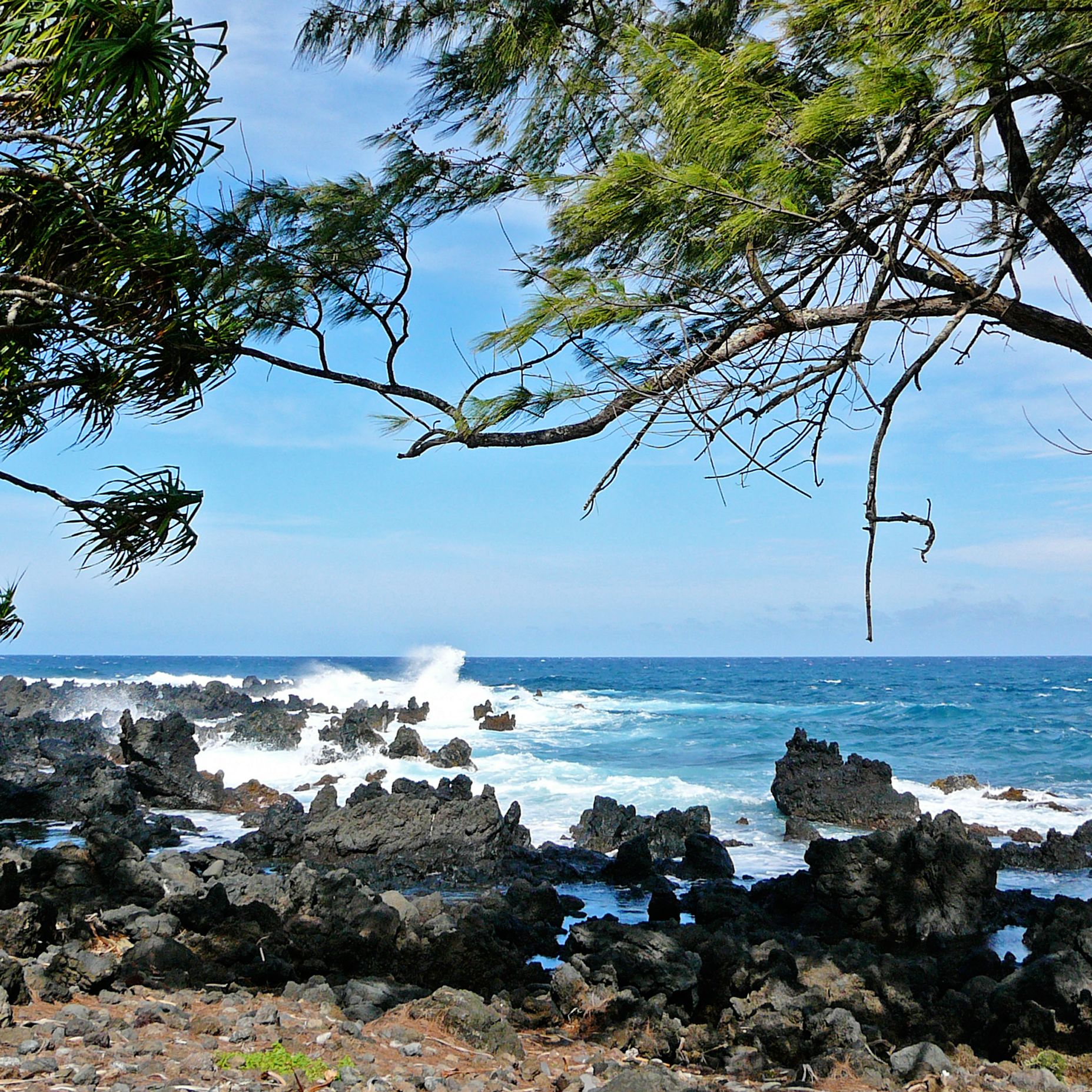 Impressionen Maui