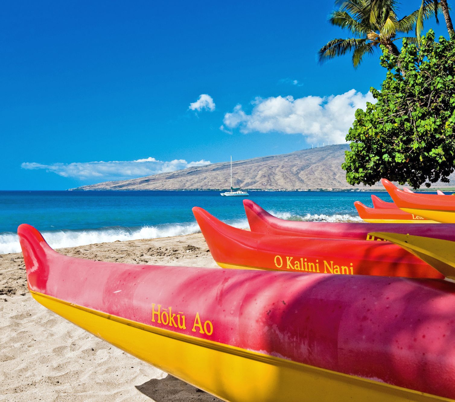 Kanus am Strand auf Maui