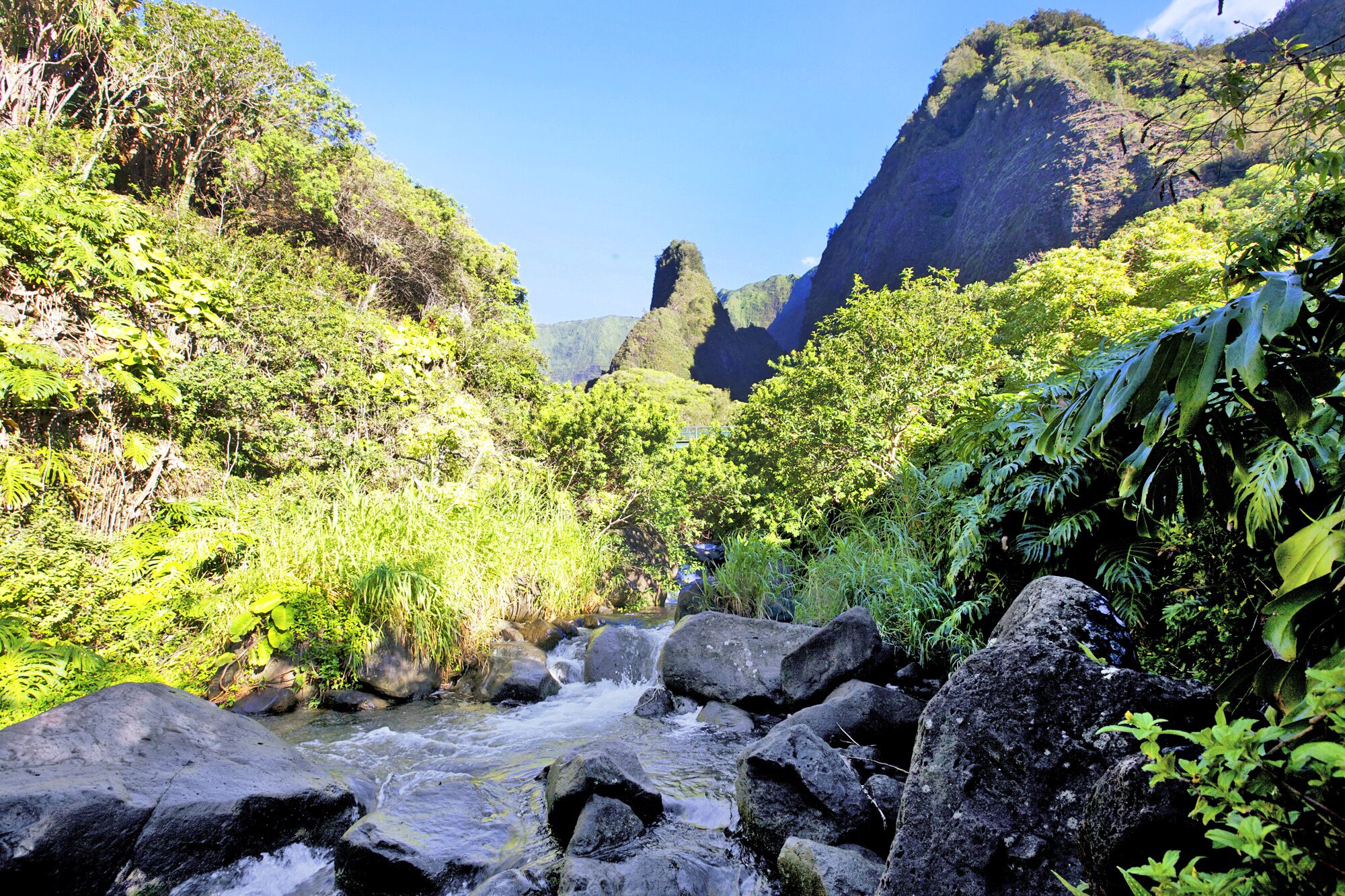 Wailuku Lao Stream, Maui