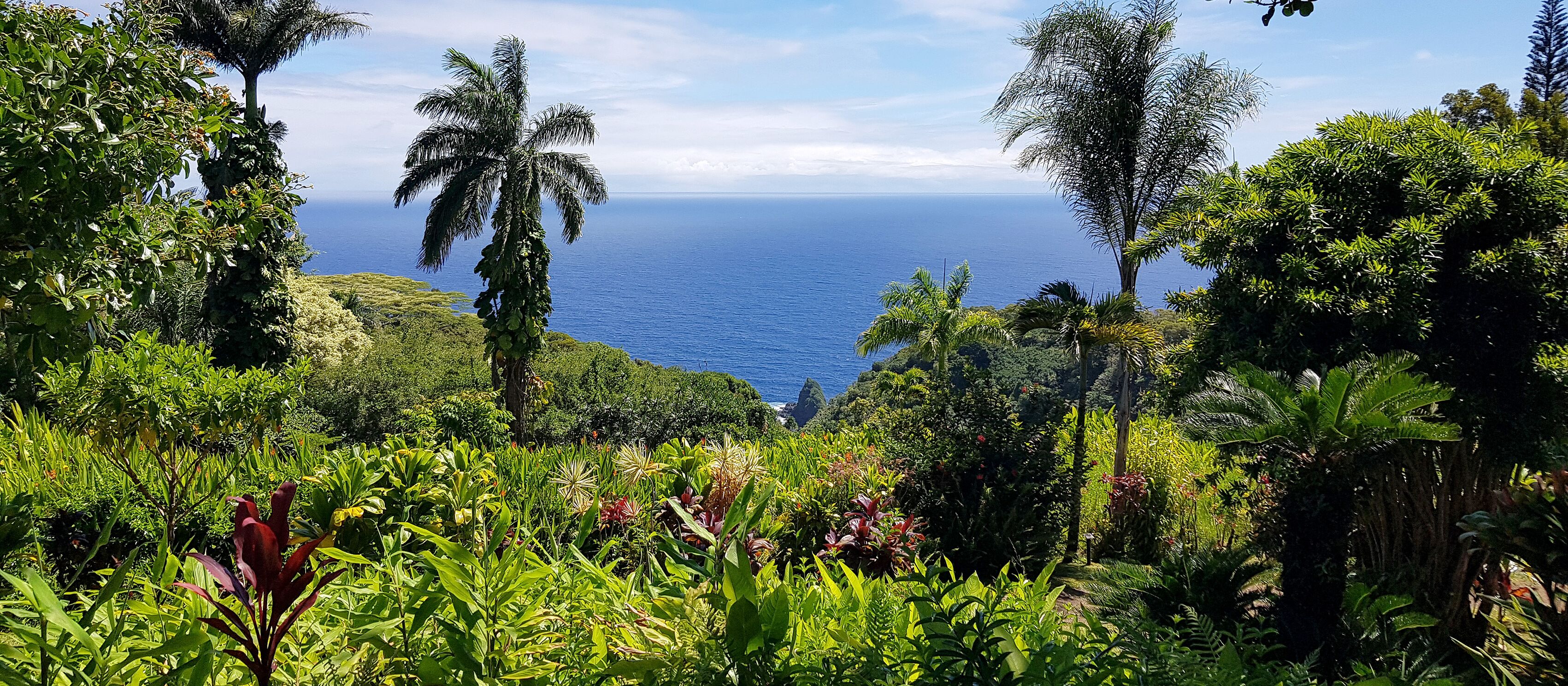 Blick aus dem botanischen Garten "Garden of Eden" auf das Meer, Maui