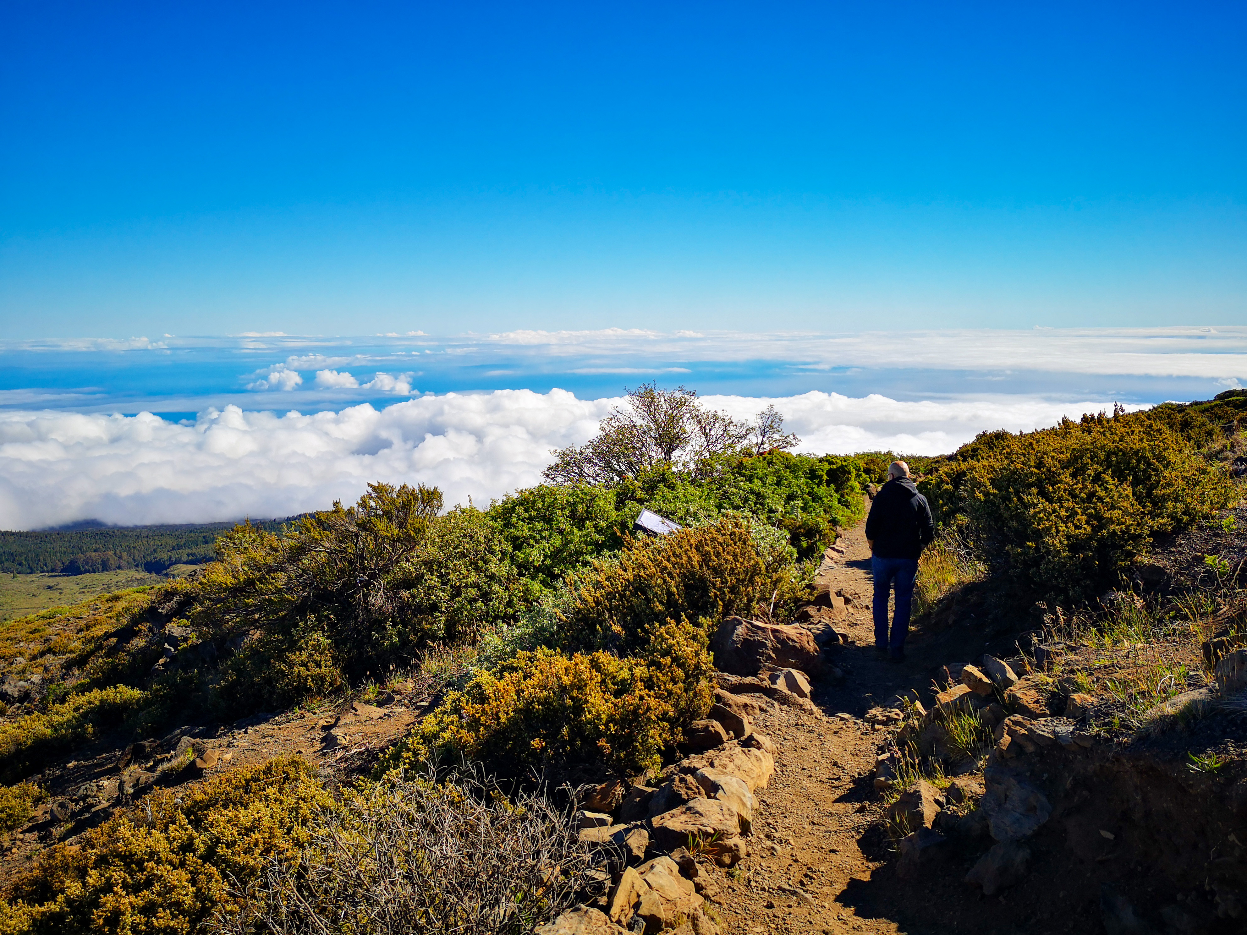 Spaziergang am Rande des Haleakala auf Maui, Hawaii