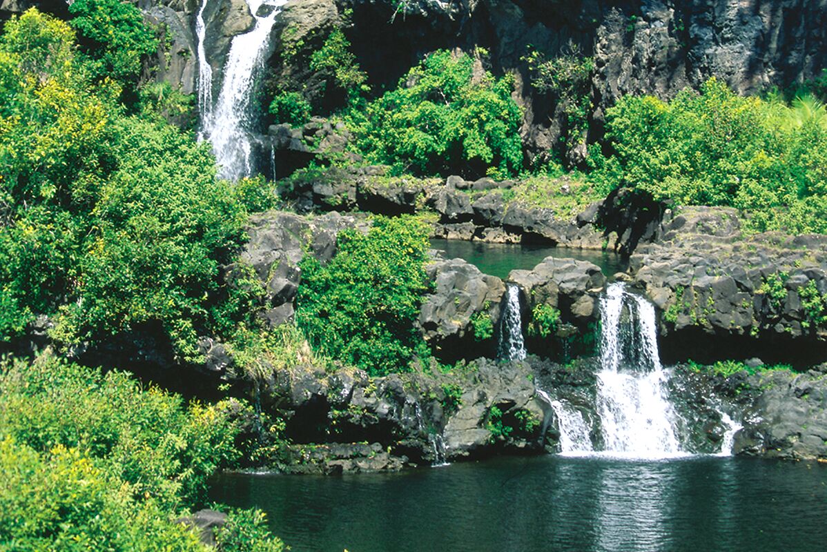 Mehrere kleine Wasserfälle stürzen über vulkanische Felsen in natürliche Becken, die von üppigem Regenwald umgeben sind.