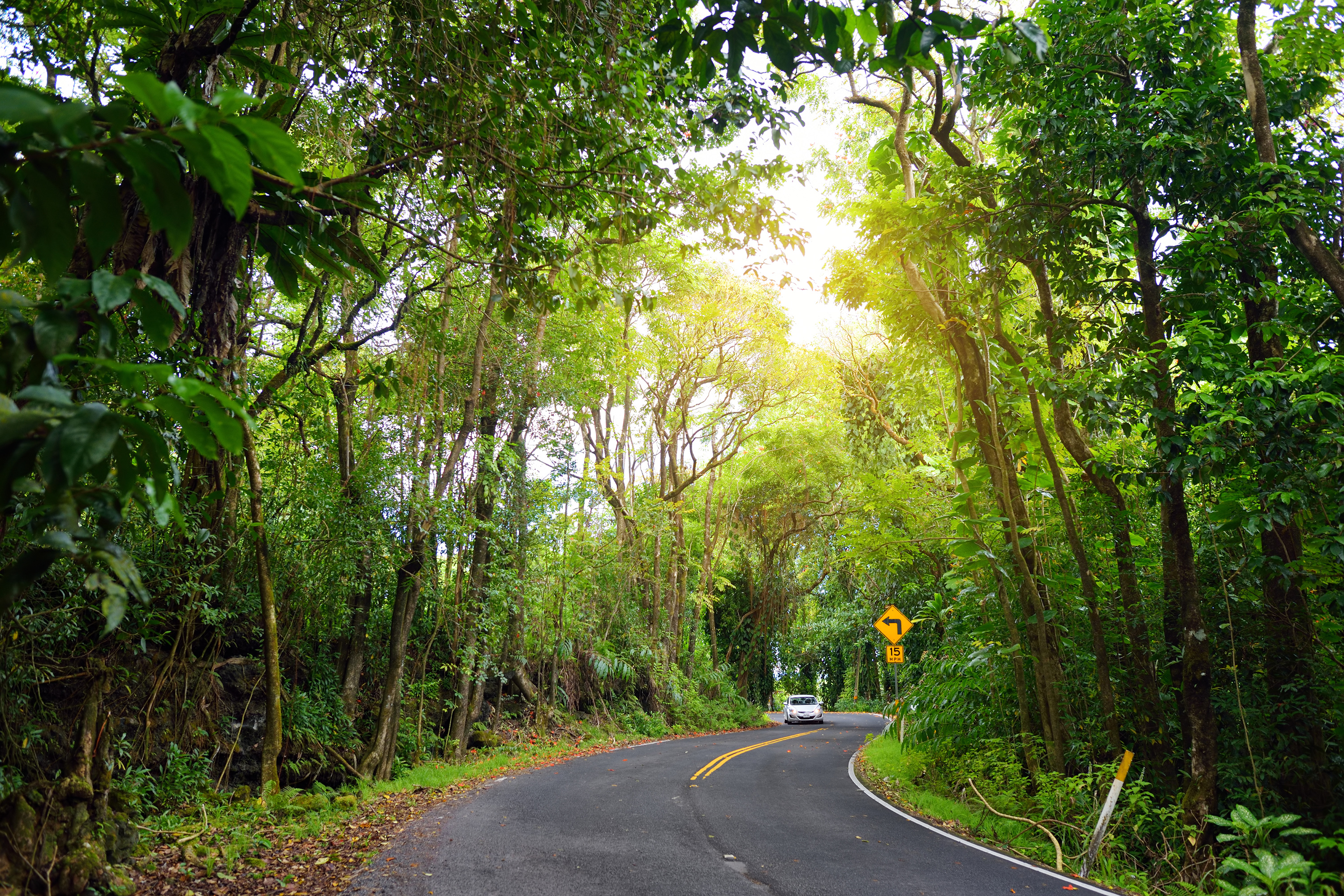 Ein Auto auf der berühmten Road to Hana auf Maui, Hawaii