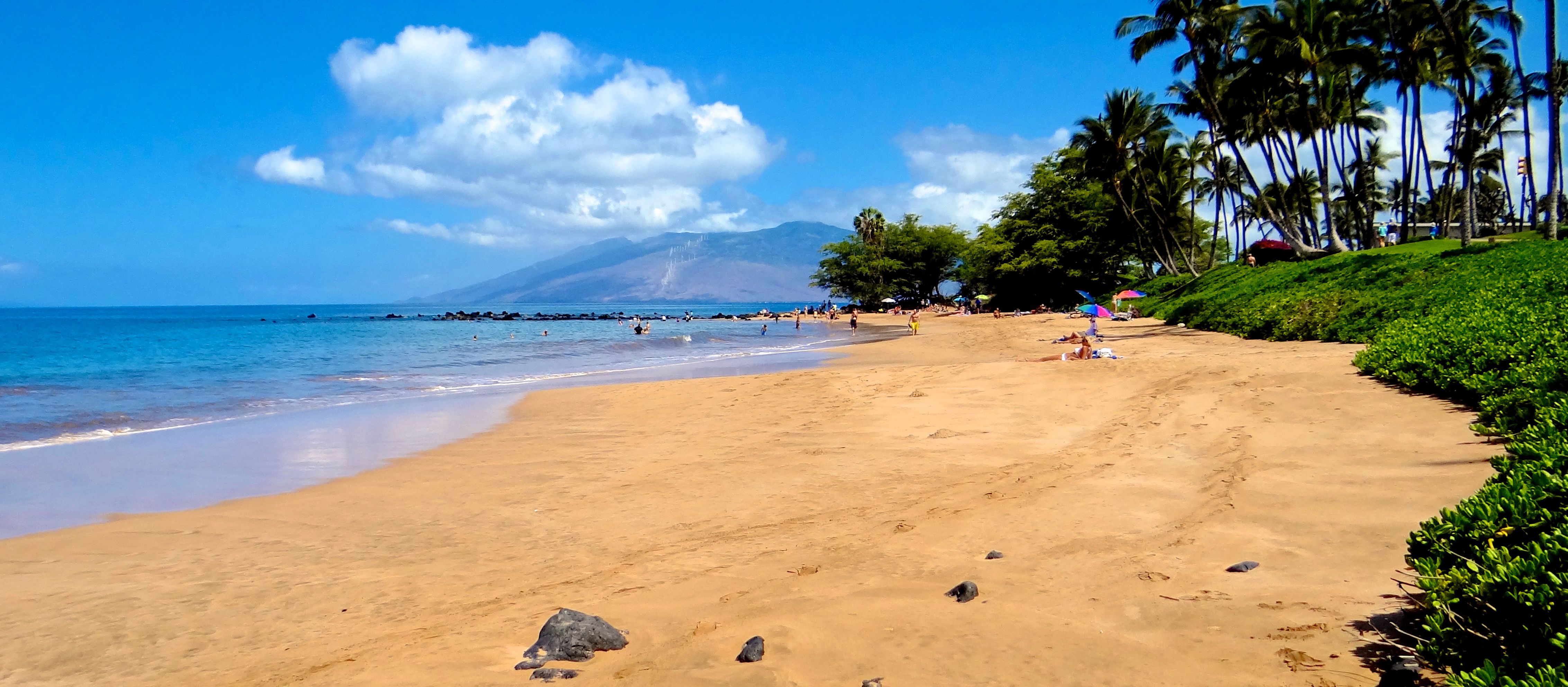 Ulua Beach Auf Maui Canusa 2562