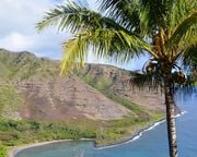 regionen/hawaii/molokai/allgemein/view-point-halawa-valley-palm.cr2500x1096-0x450 regionen/hawaii/molokai/allgemein/view-point-halawa-valley-palm.cr2500x1096-0x450