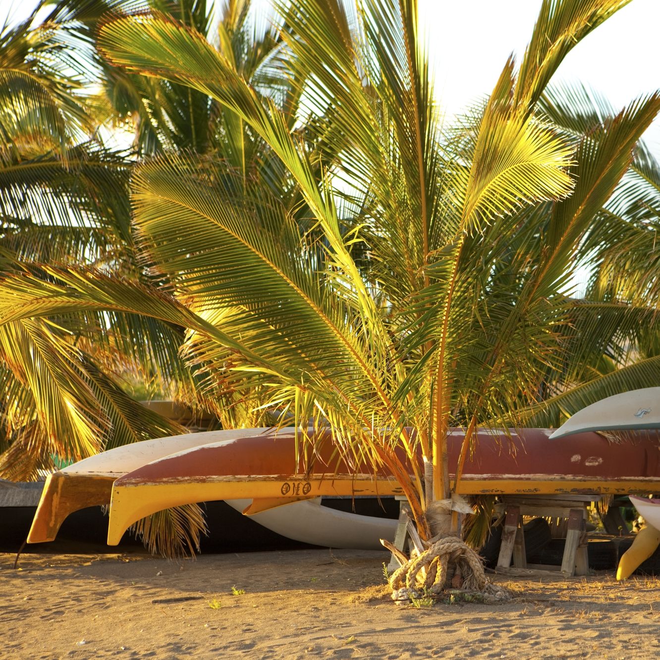 Canoes on beach