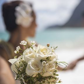 Heiraten am Strand auf Oahu